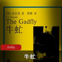 大江大河_有声书