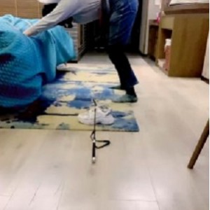 语阳S套路直播视频：骑马、骑脖子、转胯，bf25439，544*960，65分钟