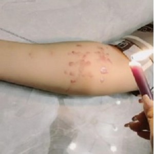 辣姐霸气直播：圈养夫奴撒气虐bf23964，544*960，131分钟