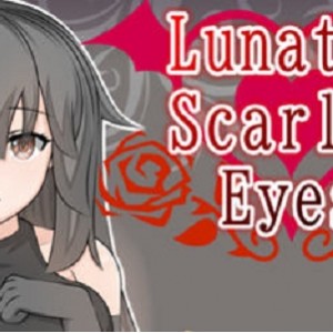 《LunaticScarletEyes》RPG游戏汉化版，主角露娜莉，视频大小/数量详