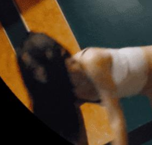 会所实拍小雅老师傅4V543MB独享资源