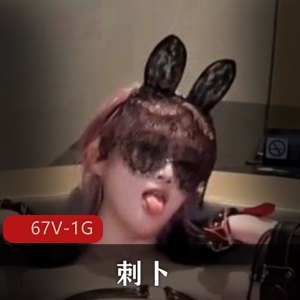 后花园刺卜自拍道具秀合集67部1G