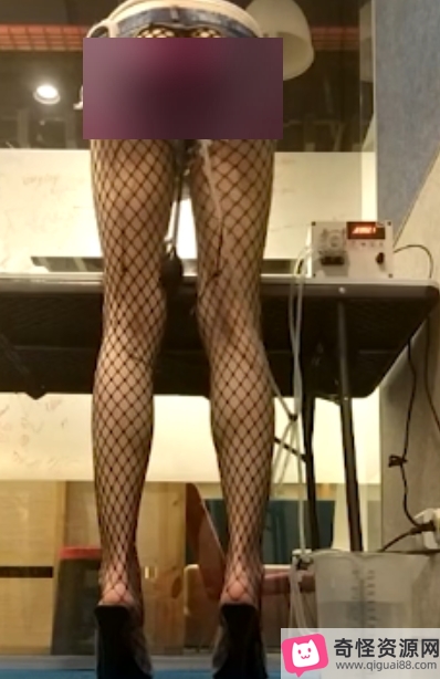 援器学会实战解析5V合集2G推特点评