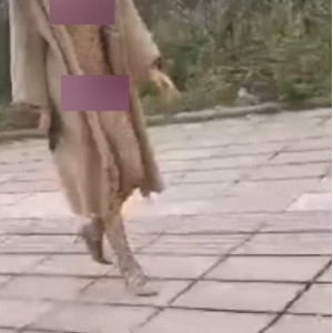 推特曼妃小雨82部舔脚福利13.4G太顶了