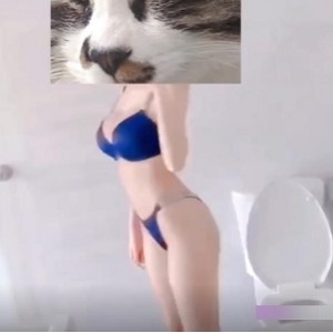 姬子猫推特优质身段视频合集120部68G太火辣