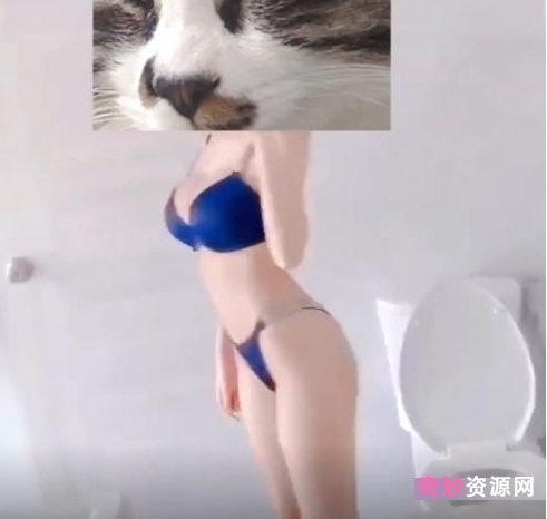 50G九一女神黑丝网袜主播88部热舞视频太丰满了